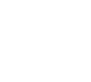 Bonestar Bistro