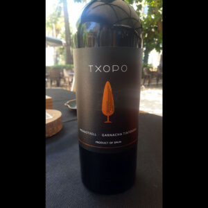 Txopo tinto